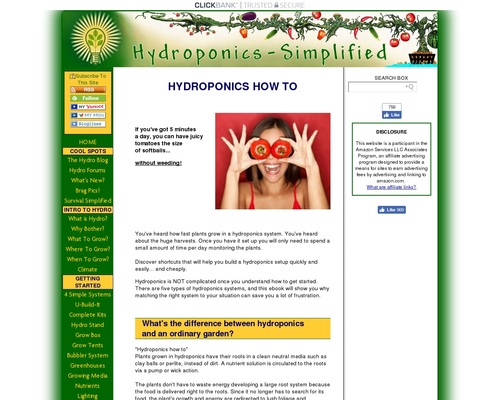 Getting Started In Hydroponics: Expert Tips, Plans & Secrets