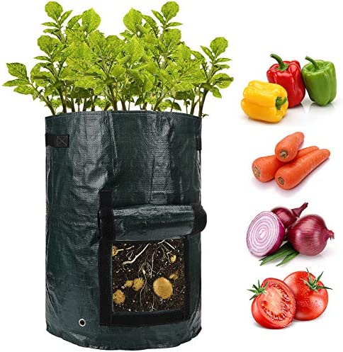 ANPHSIN 2 Pack 10 Gallon Potato Grow Bags with Flap and Handles -Fabric Plant Planter Pots for Tomato Planting Vegetable Growing Outdoor Container